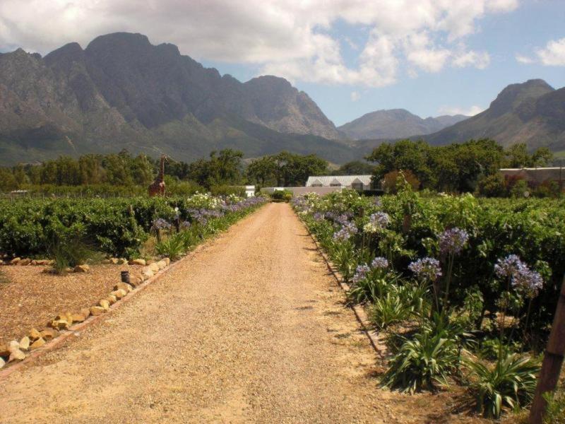 Auberge La Dauphine Guest House Franschhoek Exterior photo