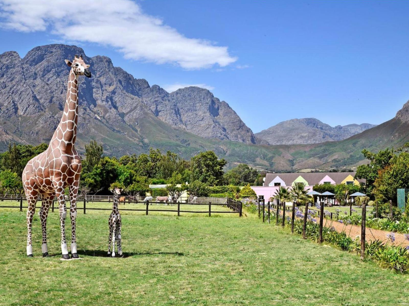 Auberge La Dauphine Guest House Franschhoek Exterior photo