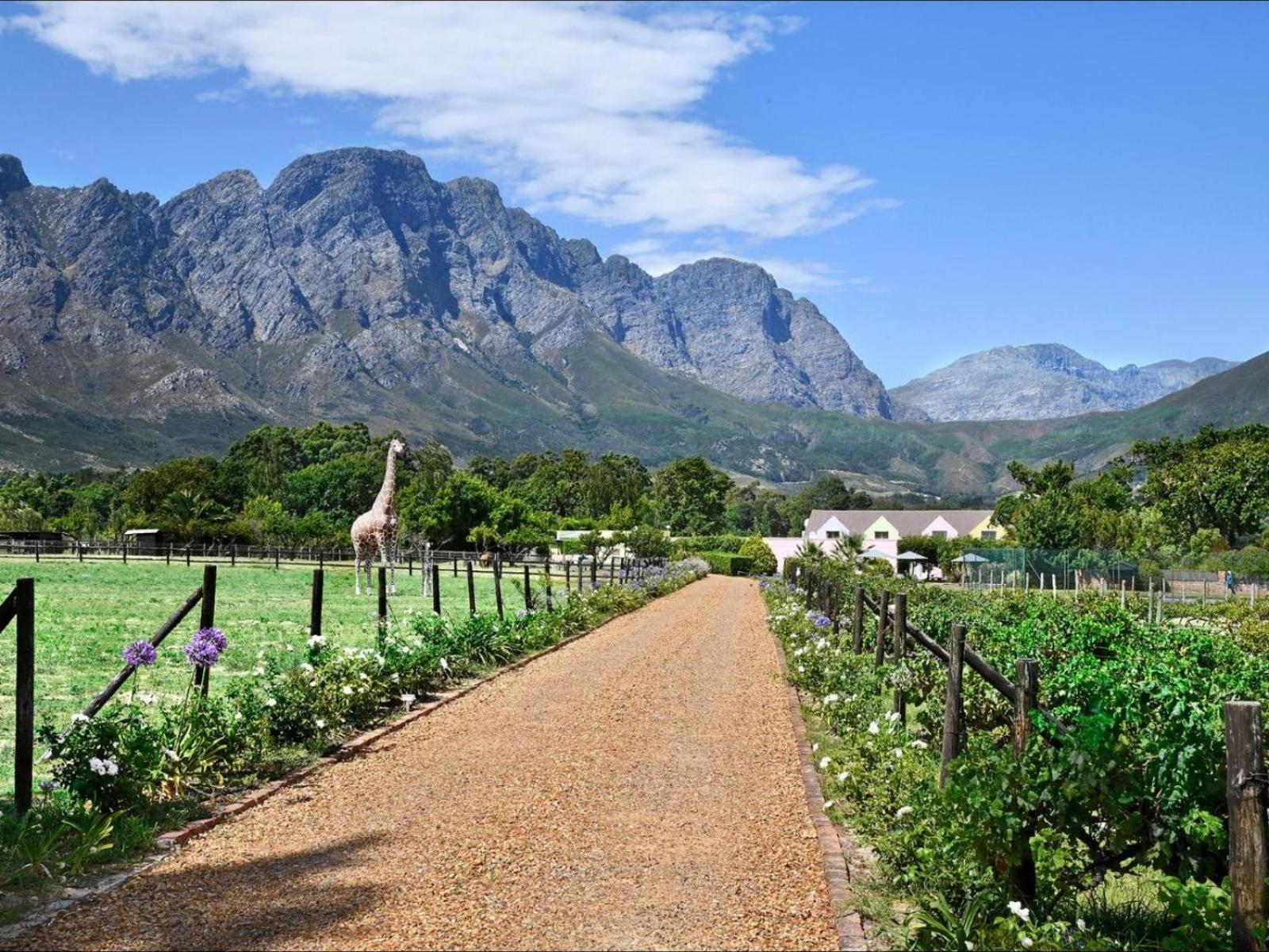 Auberge La Dauphine Guest House Franschhoek Exterior photo
